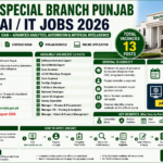 Special Branch Punjab AI/IT Jobs 2026