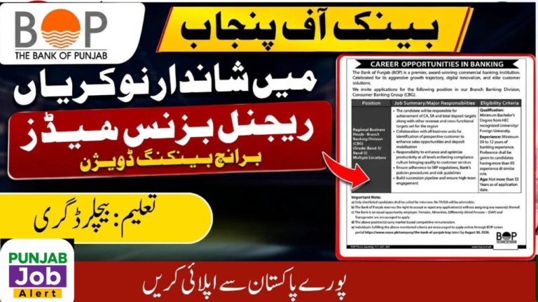 Bank of Punjab Jobs 2026